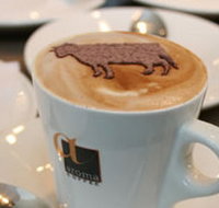 Brown Cow - Accommodation Resorts