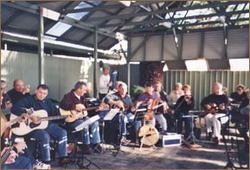  Accommodation Resorts