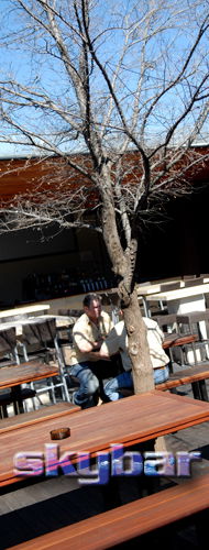Alma Tavern - Accommodation Resorts 2