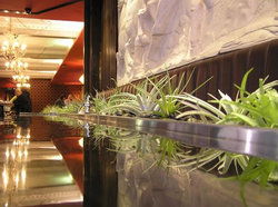 Terra Rossa - Accommodation Resorts 2