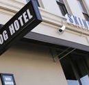 Skinny Dog Hotel - Accommodation Resorts