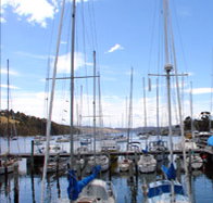 Oyster Cove Inn - Accommodation Resorts