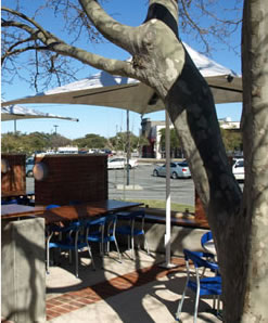 Lakers Tavern - Accommodation Resorts 3