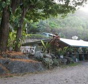 Ellis Beach Bar  Grill - Accommodation Resorts