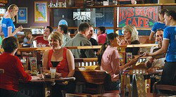 Hogs Breath - Rockingham - Accommodation Resorts 0