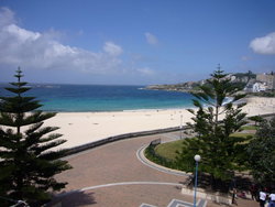 Aquarium - Accommodation Resorts 2