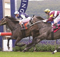 Gosford Race Club - Accommodation Resorts