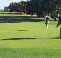Waikerie Golf Club - Accommodation Resorts