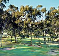 Tanunda Pines Golf Club - Accommodation Resorts