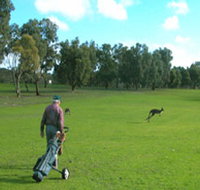Coffin Bay Golf Club - Accommodation Resorts