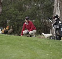 Tasmania Golf Club - The - Accommodation Resorts