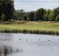 Llanherne Golf Club - Accommodation Resorts