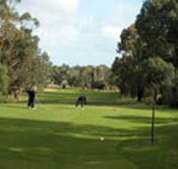 Mount Gambier Golf Club - Accommodation Resorts
