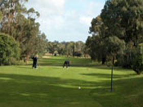 Mount Gambier Golf Club - Accommodation Resorts 0