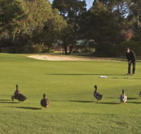 Royal Hobart Golf Club - Accommodation Resorts