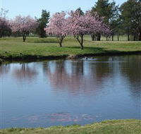 RMC Golf Club - Accommodation Resorts