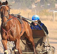 Ballarat  District Trotting Club - Accommodation Resorts