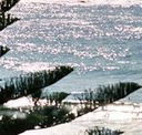 Bondi Social - Accommodation Resorts