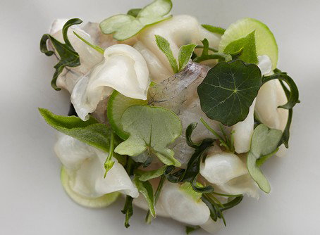 Quay - Accommodation Resorts 1