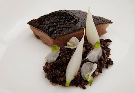 Quay - Accommodation Resorts 2