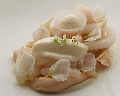 Quay - Accommodation Resorts 4