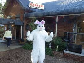 Victoria Hotel - Accommodation Resorts 3