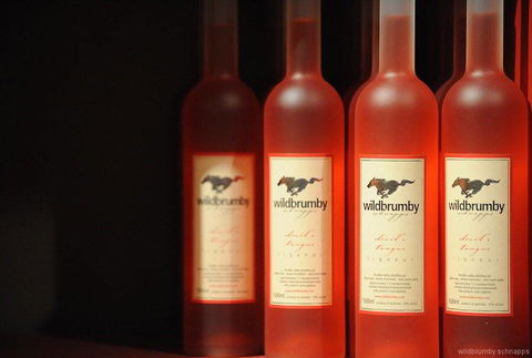 Fennell Bay Cellars - Accommodation Resorts 0