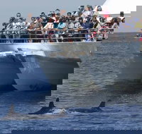 MoonshadowTQC Cruises - Accommodation Resorts