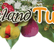 Bushland Tukka Cafe  Catering - Accommodation Resorts