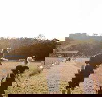 Arcadia - Accommodation Resorts