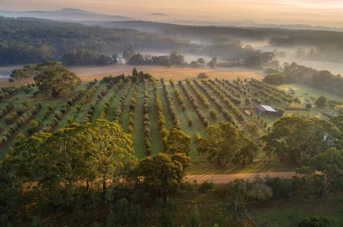 A Taste Of Truffles - Accommodation Resorts 1