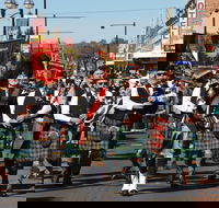 Australian Celtic Festival - Accommodation Resorts