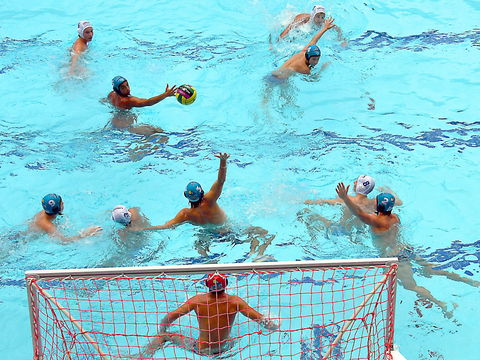 Australian Youth Water Polo Championships - Accommodation Resorts 0