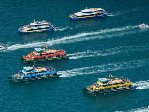 Australia Day Sydney Harbour Cruises - Accommodation Resorts 1