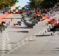 Australian Billy Cart Championships - Accommodation Resorts