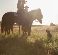 Balonne Cutting Horse Futurity - Accommodation Resorts
