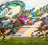 Bathurst Cup - Accommodation Resorts
