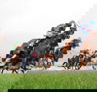 Christmas Cup Race Day - Accommodation Resorts