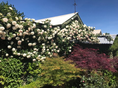 Crookwell Garden Festival - Accommodation Resorts 1