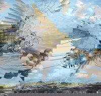 Dreams of Air and Flight - Accommodation Resorts