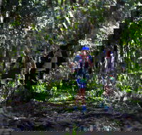 Elephant Trail Race - Accommodation Resorts