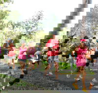 Gladstone Weekly Parkrun - Accommodation Resorts