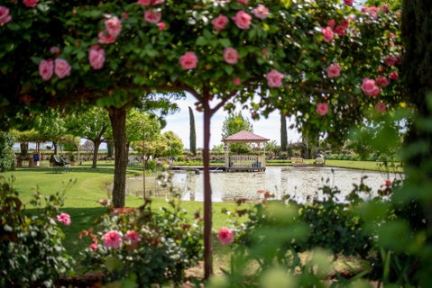 Griffith Spring Fest - Accommodation Resorts 0