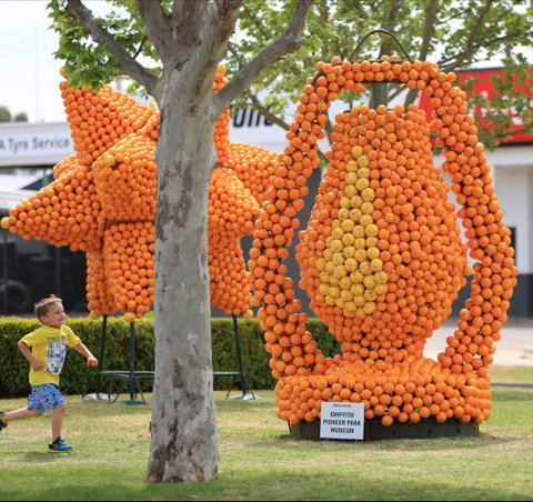 Griffith Spring Fest - Accommodation Resorts 1