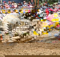Jindabyne's Man From Snowy River Rodeo - Accommodation Resorts