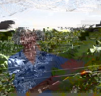 Kingsdale Wines - Cellar Door Wine Tastings - Accommodation Resorts