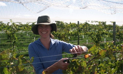 Kingsdale Wines - Cellar Door Wine Tastings - Accommodation Resorts 0
