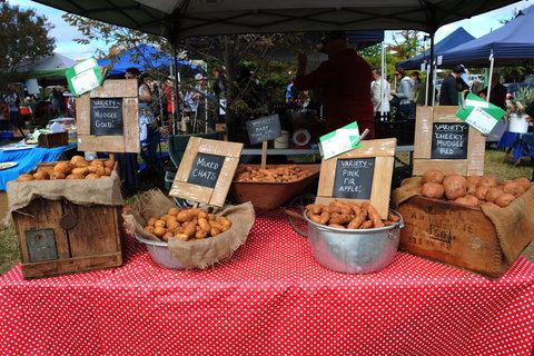 Lawson Park Markets - Accommodation Resorts 0