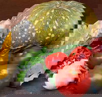 Lismore Organic Market - Accommodation Resorts