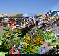 Maclean Community Monthly Markets - Accommodation Resorts